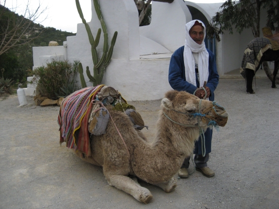 Afrique et Maghreb